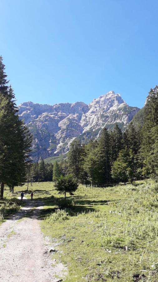 Apartma Julija Luče Dış mekan fotoğraf